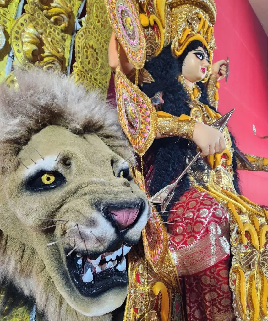 Close view of Maa Jagadhatri
